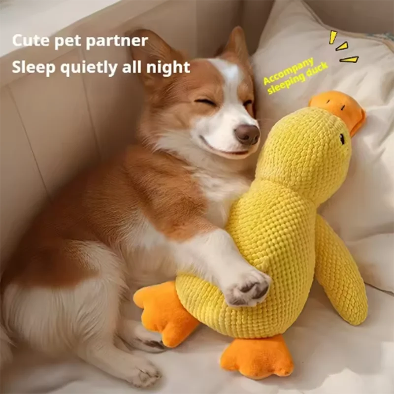 Calming Duck