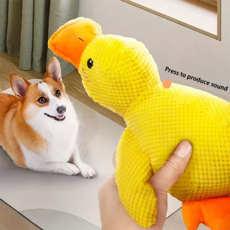 Calming Duck