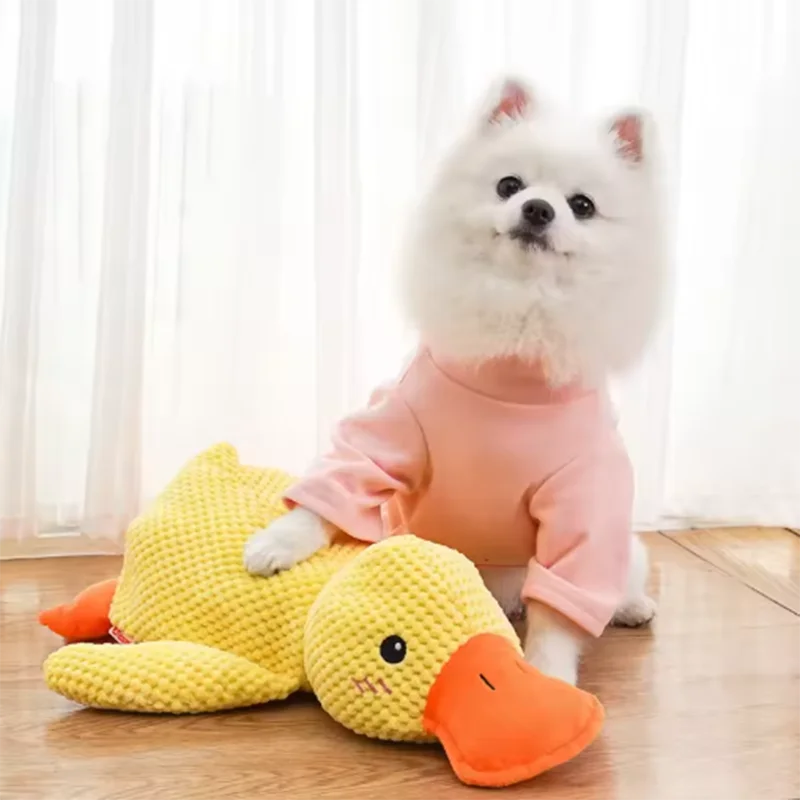 Calming Duck