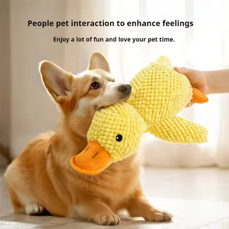 Calming Duck