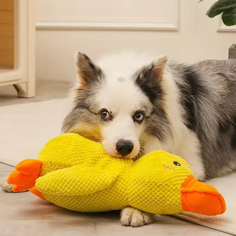 Calming Duck