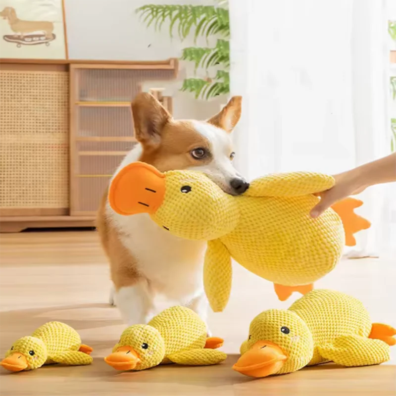 Calming Duck