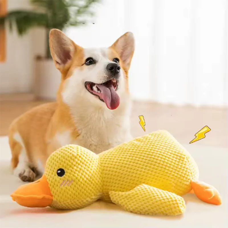 Calming Duck