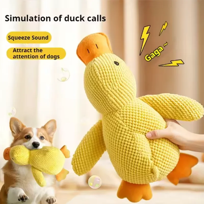 Calming Duck