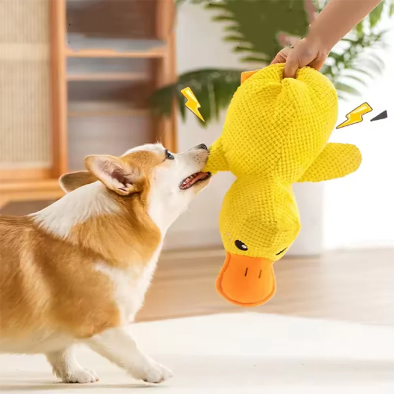 Calming Duck